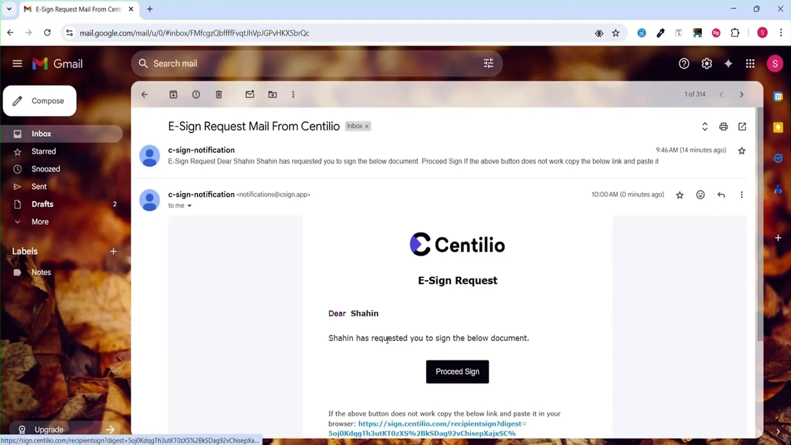 Recipient receiving document and signing options in email