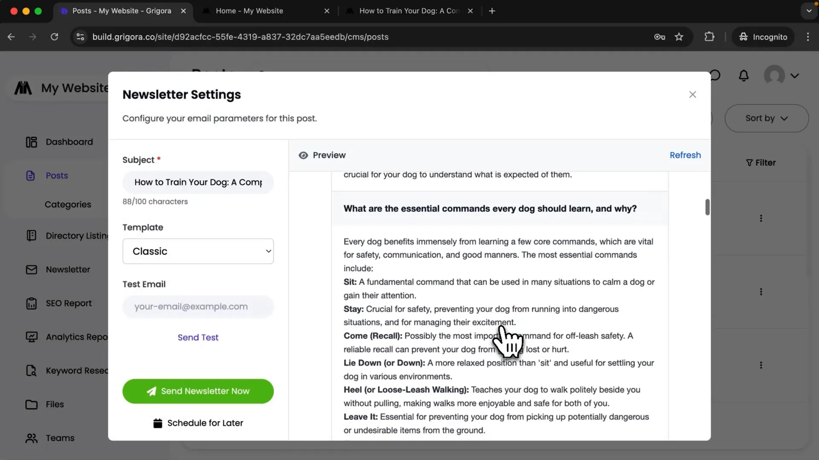 Newsletter creation and subscriber management in Gregora